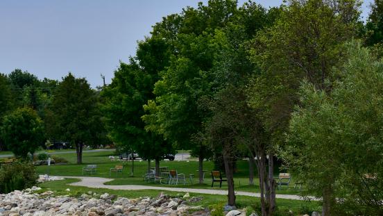 Trees and walking trail in summer along Bayview Park shoreline