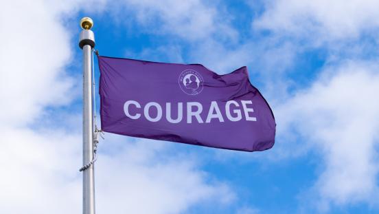Elimination of Violence Against Women Flag