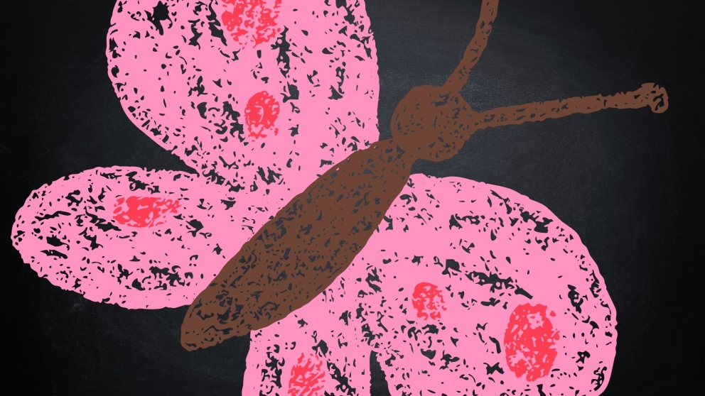 Butterfly chalk art