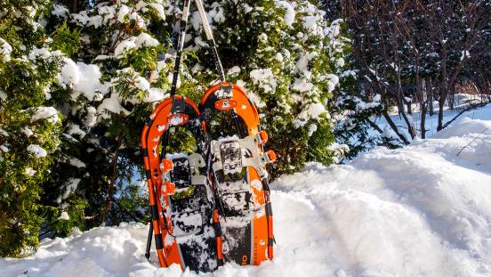 Snowshoes leaning against trees