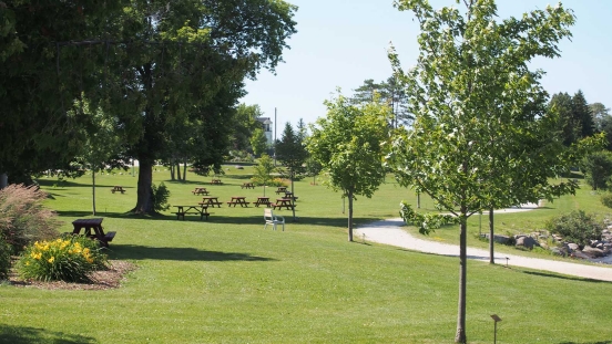 Bayview Park in summer
