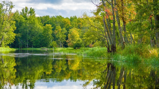 Beaver River flowing with green trees in the background