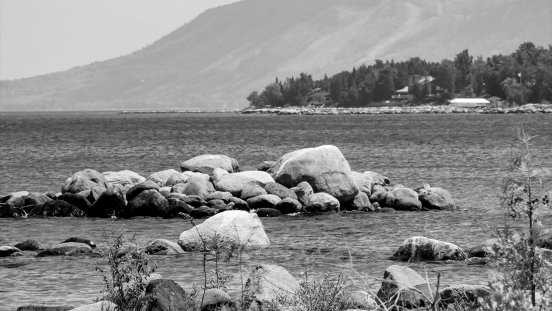 Blue Mountain Goat Yoga