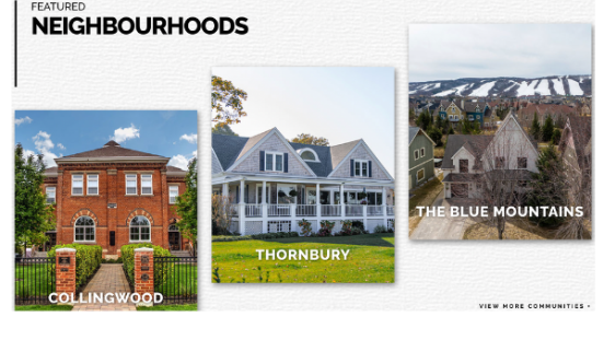 Remax Hallmark Realty Ltd