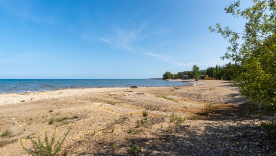 Peasemarsh Beach