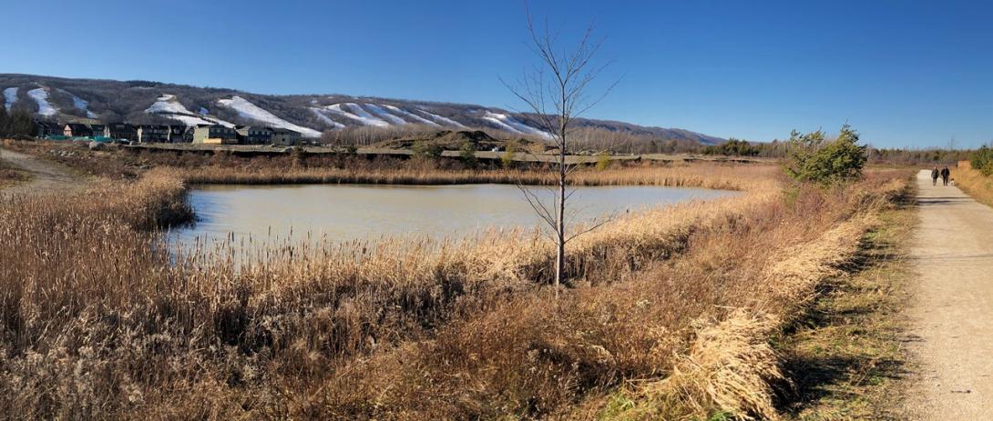 Stormwater management pond with Escarpment in the background