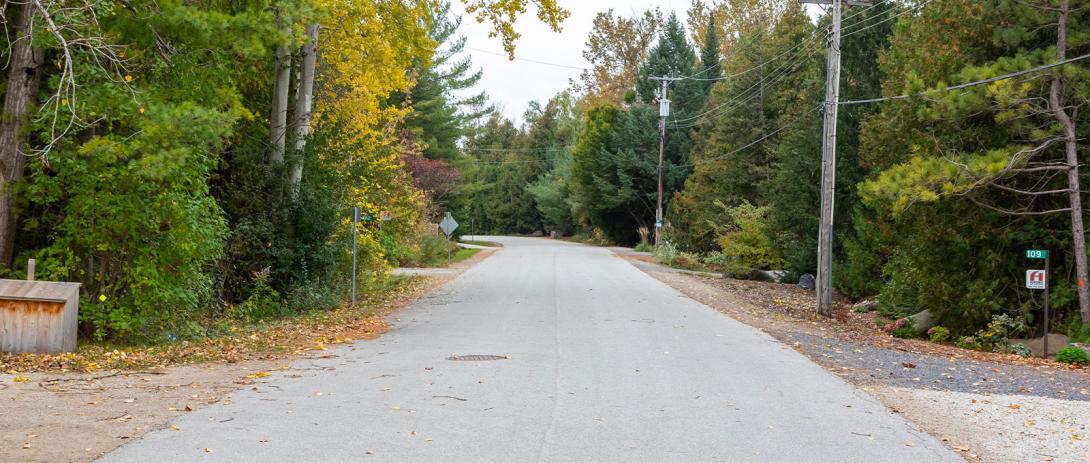 Lakewood Drive streetscape