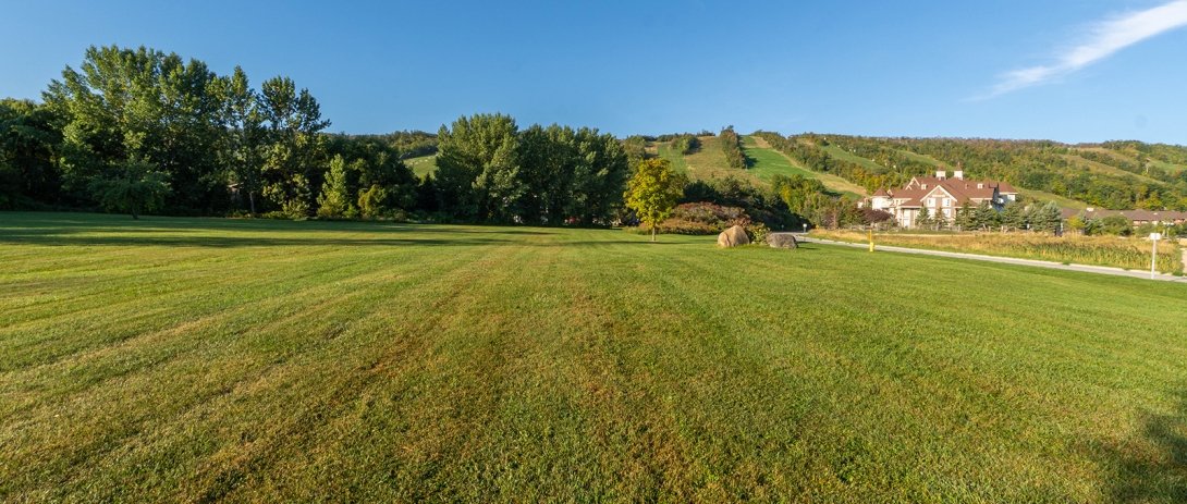 Jozo Weider Park Landscape
