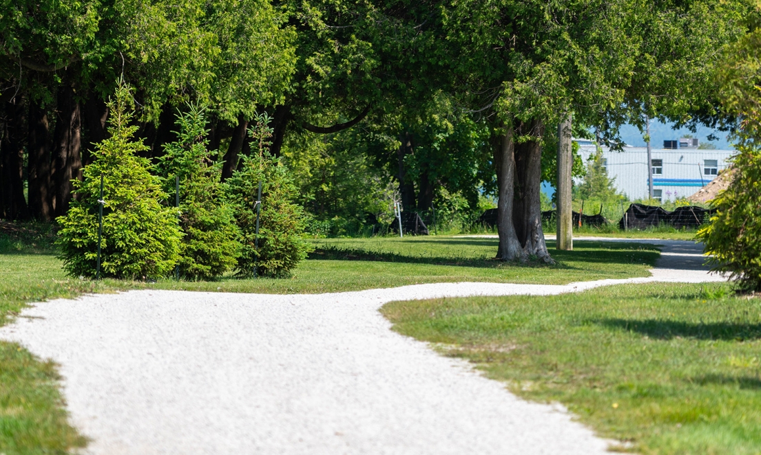 Georgian Trail in Cedar Grove Park