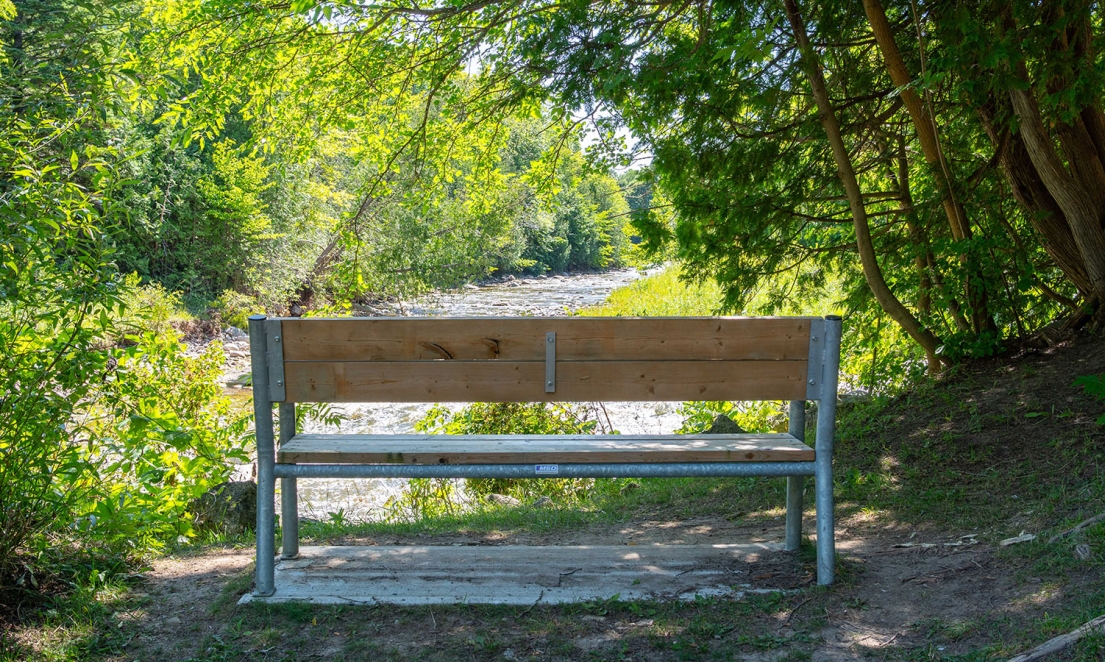 Bench overlooking Beaver River in Firemans Park