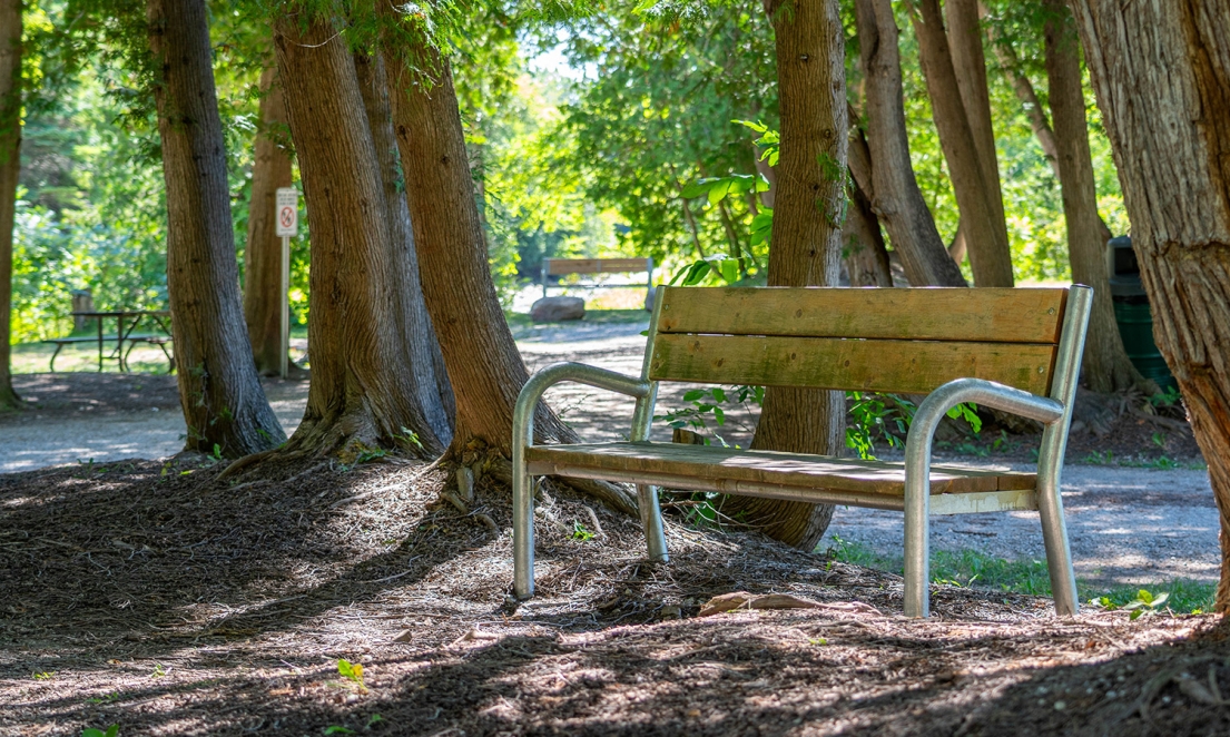 Bench beside swingset in Firemans Park