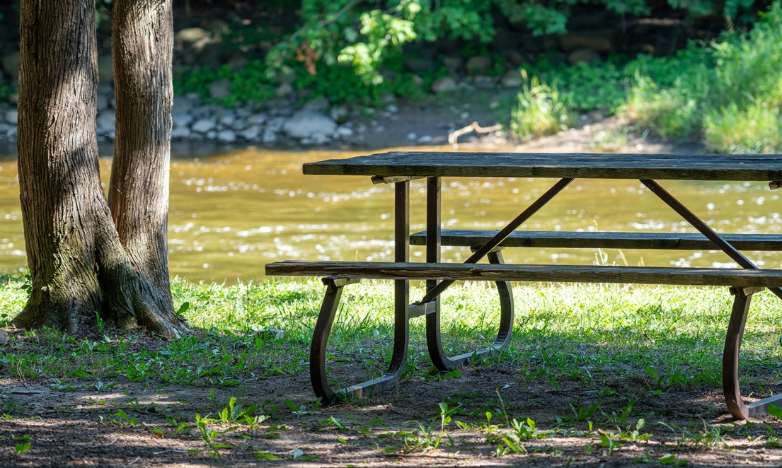 Picnic table at Firemans Park