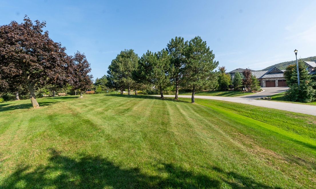 Wyandot Park Greenspace