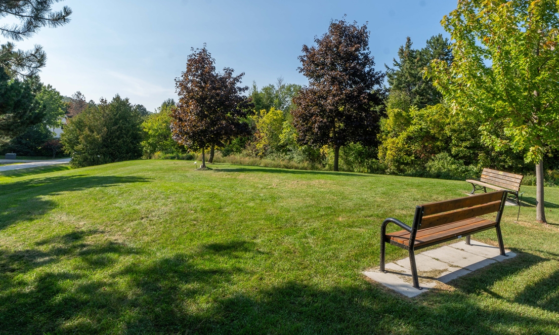 Wyandot Park Benches