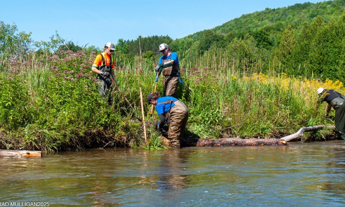 BRWI Installation of bank stabilizing log deflectors at Little Beaver Creek