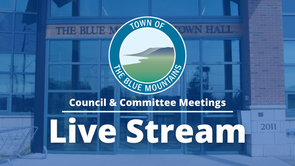 Council and Committee Meetings Live Stream